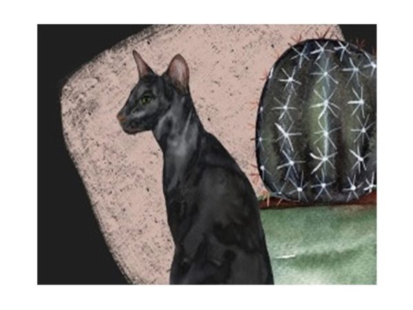 Alfombra antideslizante con ilustración de gato Catus